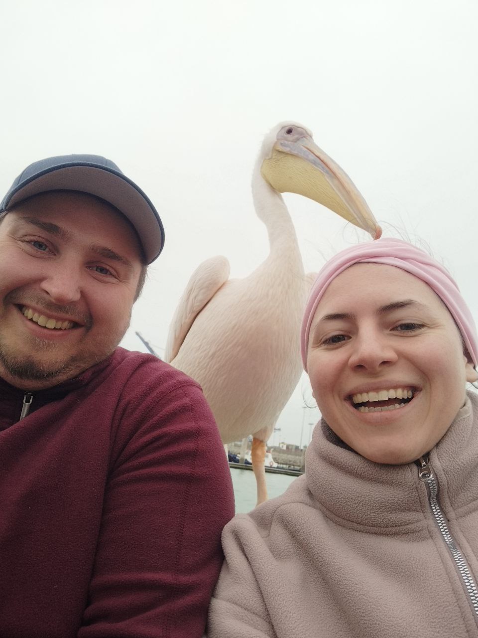 photo_19_2023-10-16_19-51-40